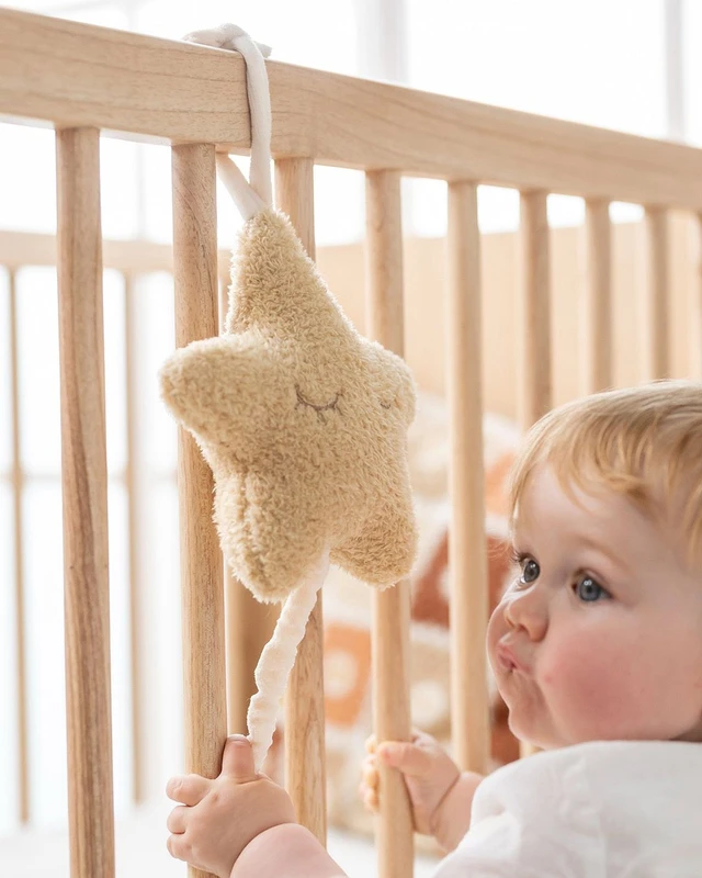 TEDDY - Μουσικό αστέρι