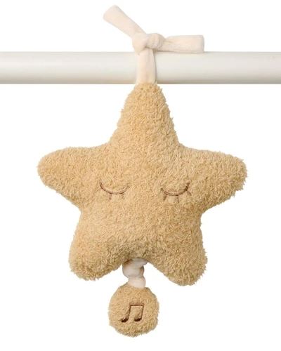 TEDDY - Μουσικό αστέρι