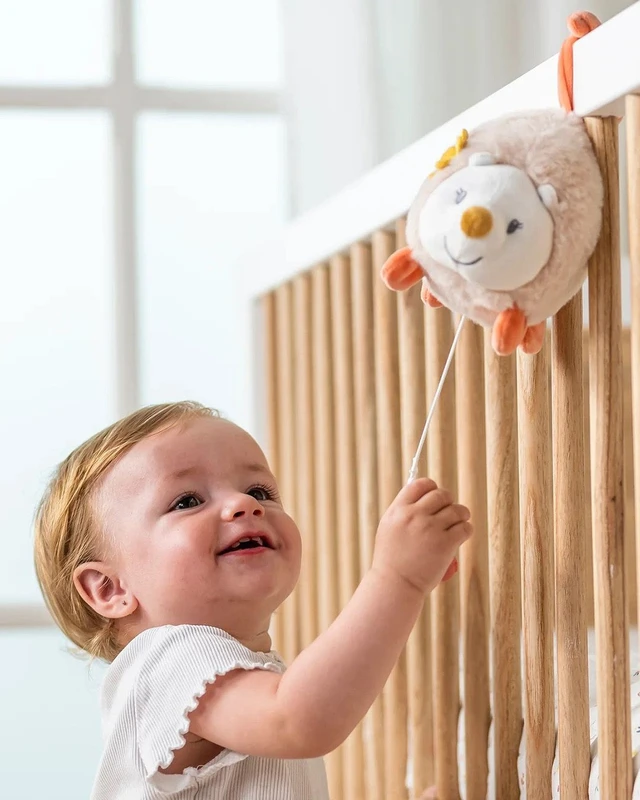 Μουσικό σκατζοχοιράκι - mini Zoe